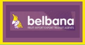 BELBANA FRUIT EXPORT