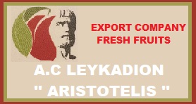 A C ARISTOTELIS EXPORT FRUITS